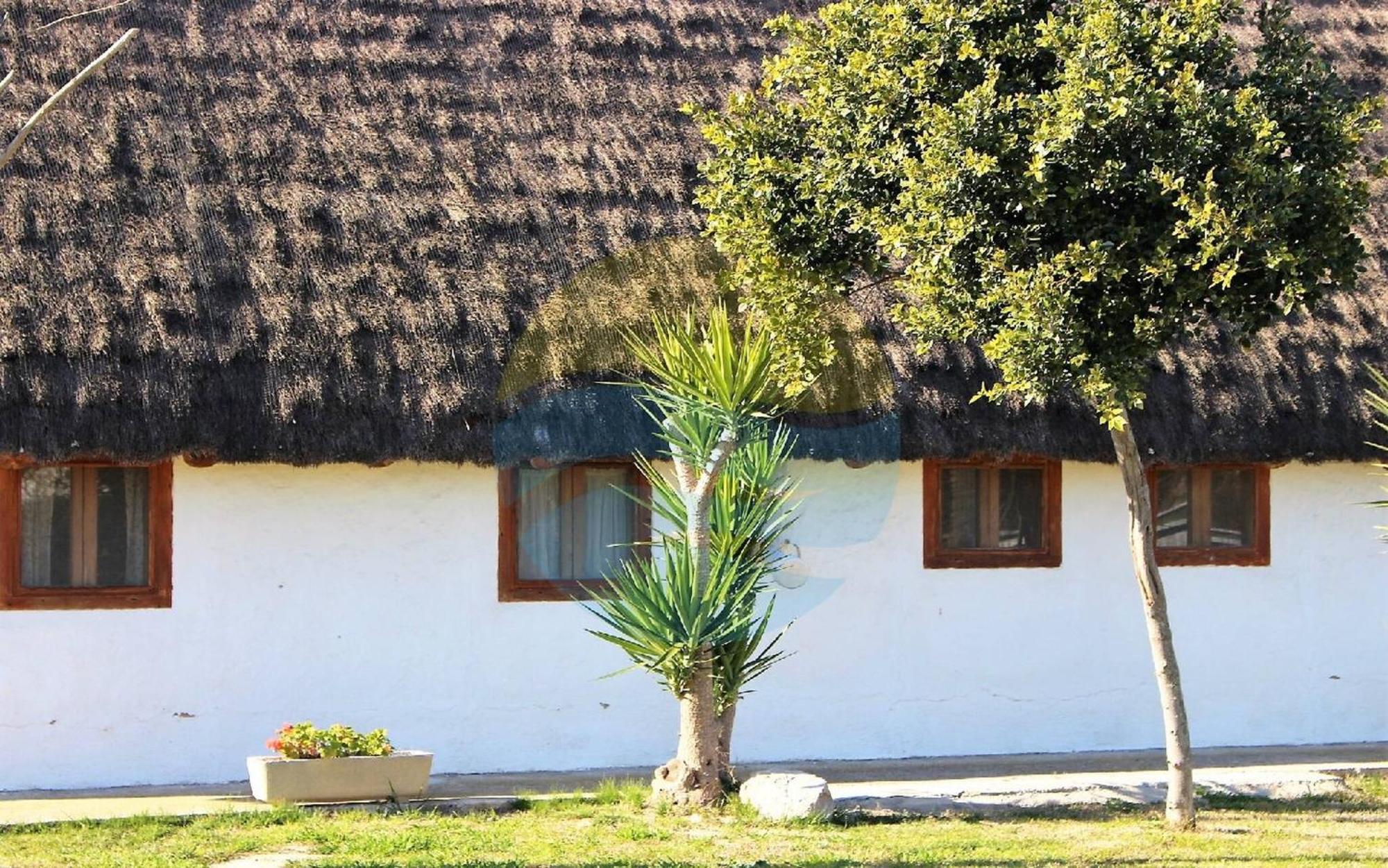 Willa Barraca Tipica Del Delta, Con Piscina, Jardin Y Barbacoa - Deltavacaciones Sant Jaume d'Enveja Zewnętrze zdjęcie